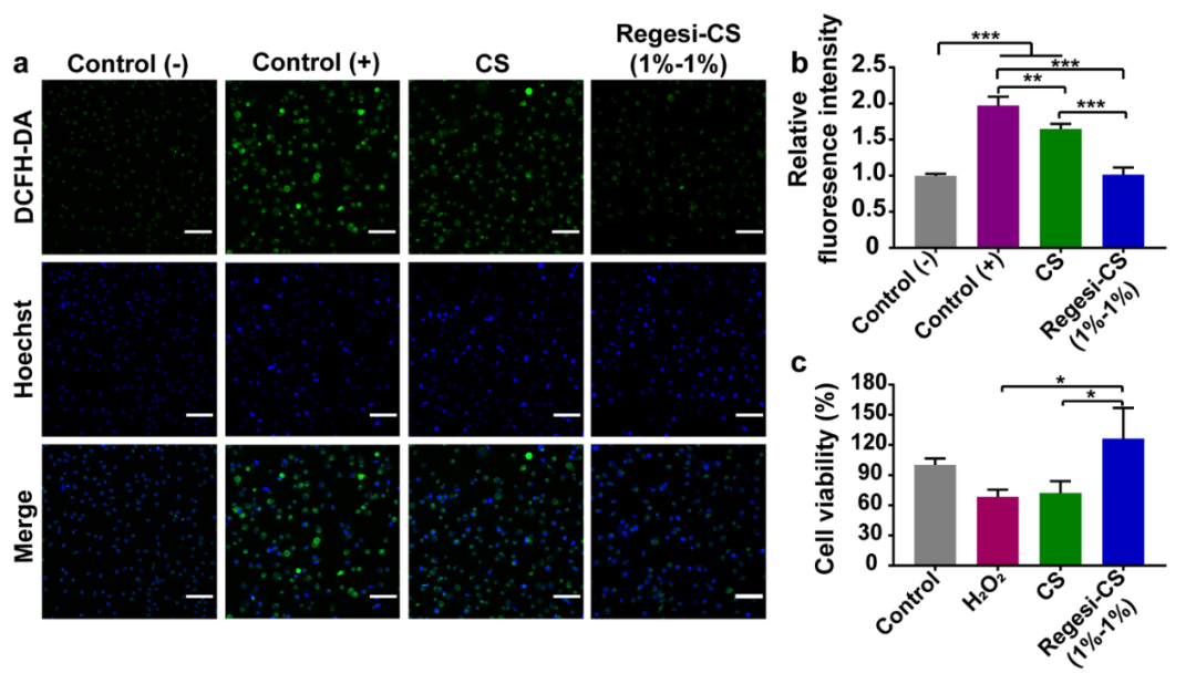 壳聚糖治什么病川大华西口腔医学院彭强研究员团队 AHM：多功能再生硅-壳聚糖水凝胶促进MRSA感染的糖尿病创面愈合_https://www.jmylbn.com_新闻资讯_第8张