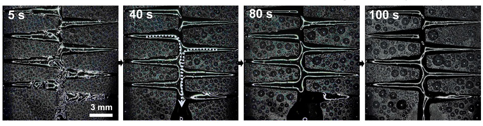 四川大学宋飞教授团队CEJ：四重仿生策略构建自发高效水汽收集表面的图5