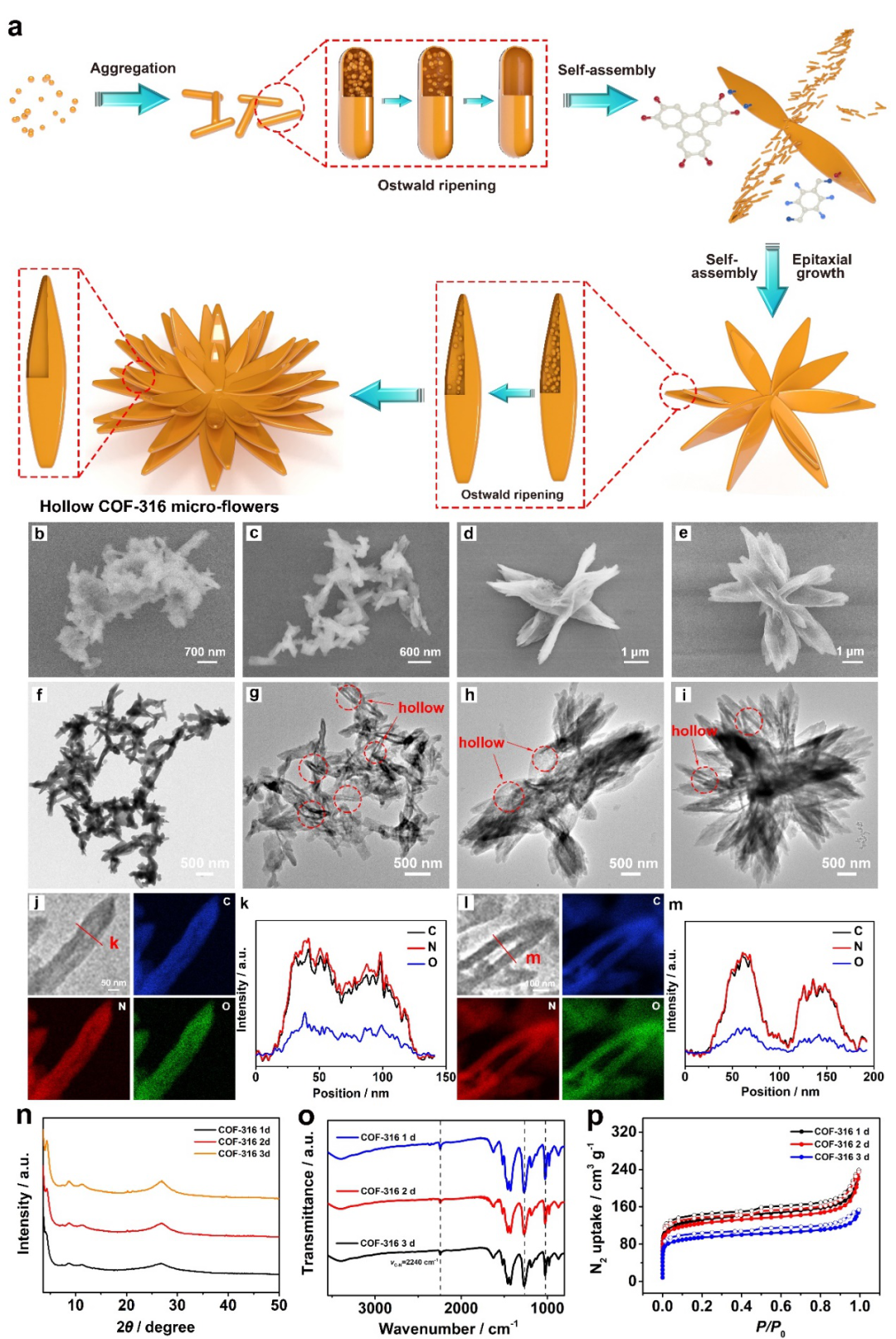 南京邮电大学赵强教授和黄维院士团队AFM：一体化中空花状COFs构建柔性透明储能器件的图2