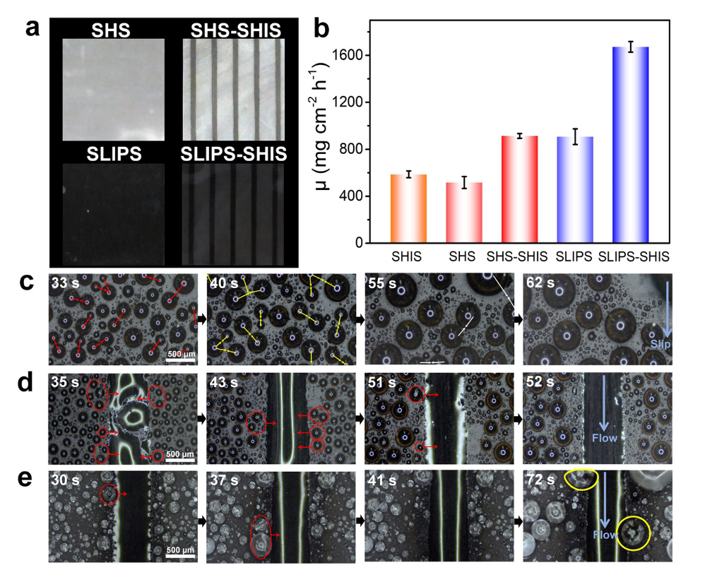 四川大学宋飞教授团队CEJ：四重仿生策略构建自发高效水汽收集表面的图3