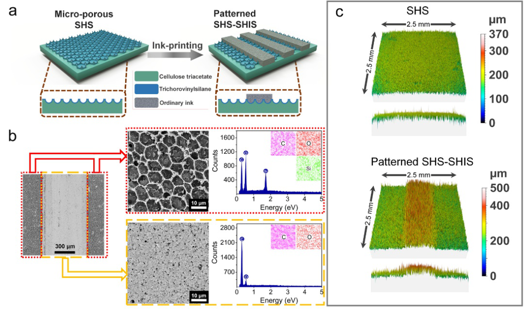 四川大学宋飞教授团队CEJ：四重仿生策略构建自发高效水汽收集表面的图2