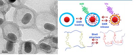 二阶系统的瞬态响应分析_多重响应分析_频率响应分析