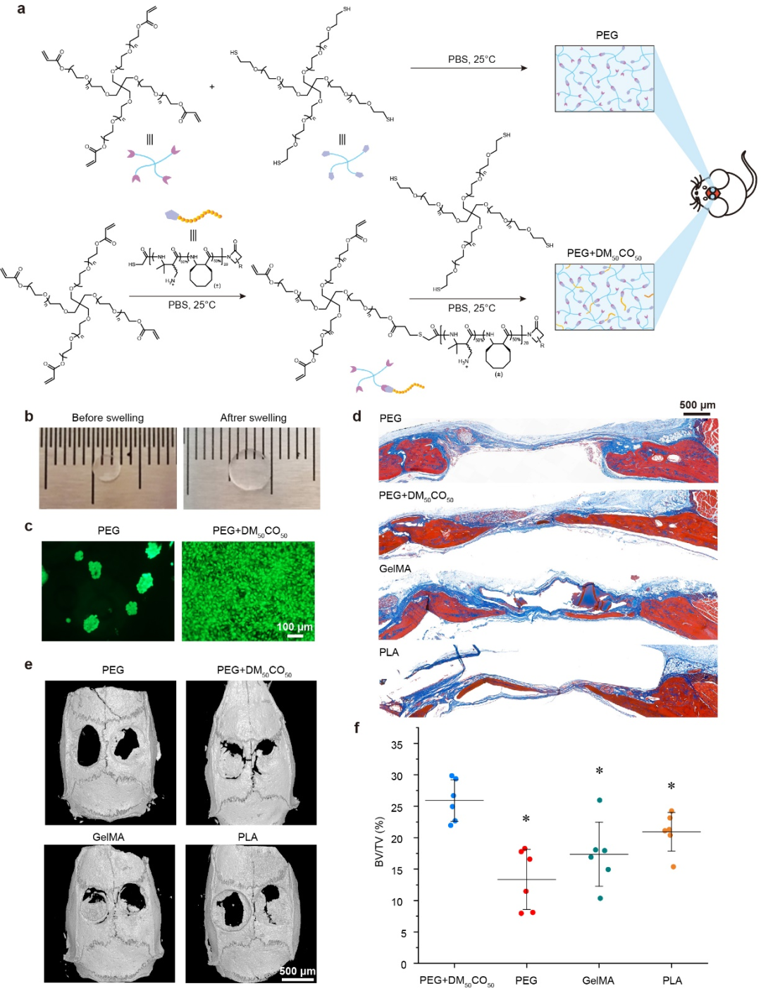 华东理工大学刘润辉教授课题组在促细胞粘附新材料领域获得突破：设计和发现双重机理的促细胞粘附β-氨基酸聚合物的图5