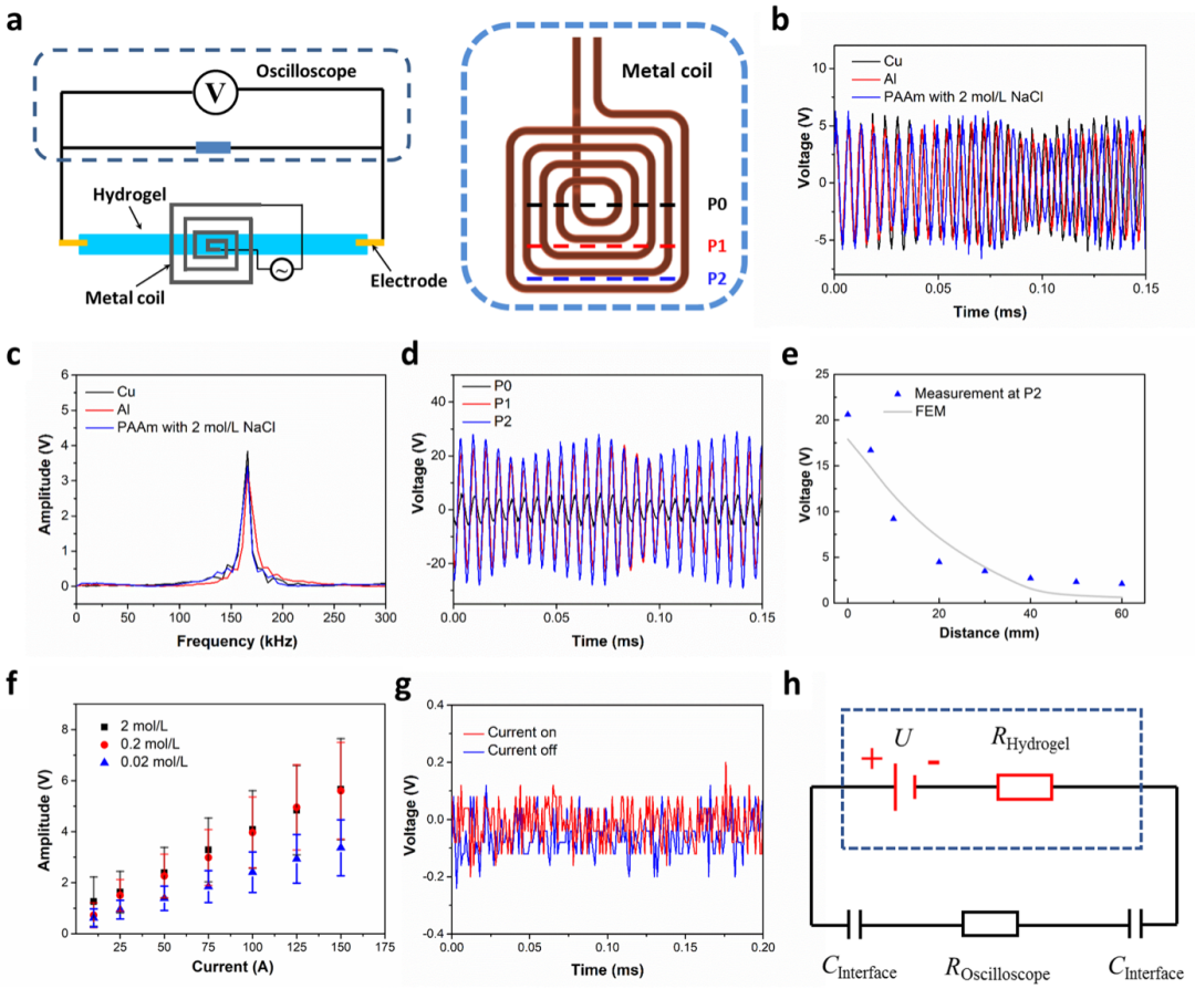 哈佛大学锁志刚教授课题组与西安交大贾坤副教授课题组合作：离磁感应助力电子与离子间信号传递的图2