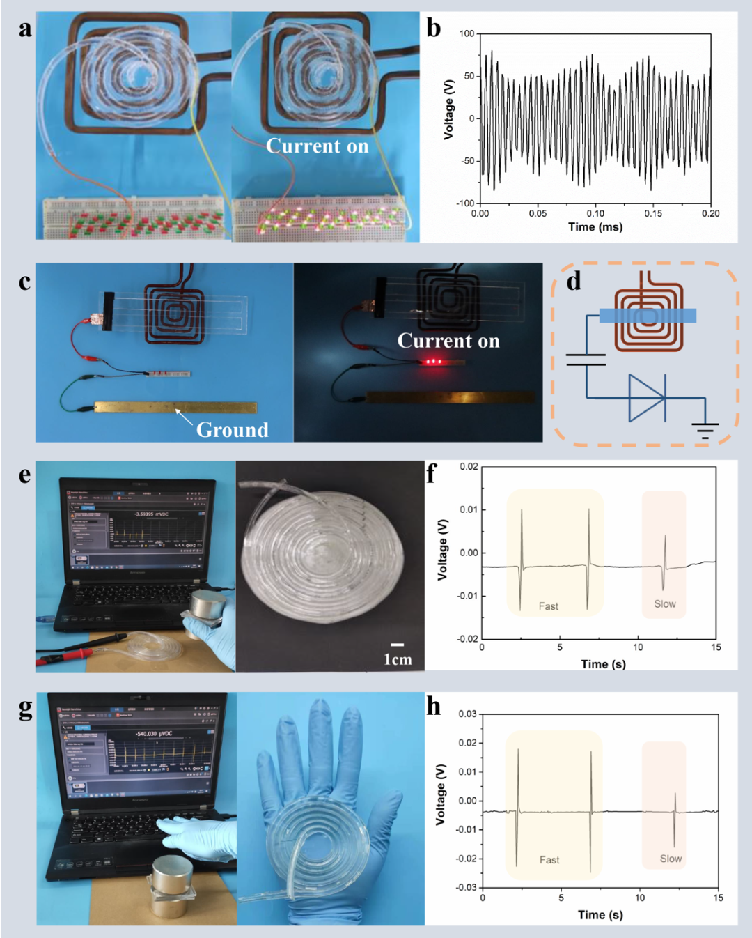 哈佛大学锁志刚教授课题组与西安交大贾坤副教授课题组合作：离磁感应助力电子与离子间信号传递的图4