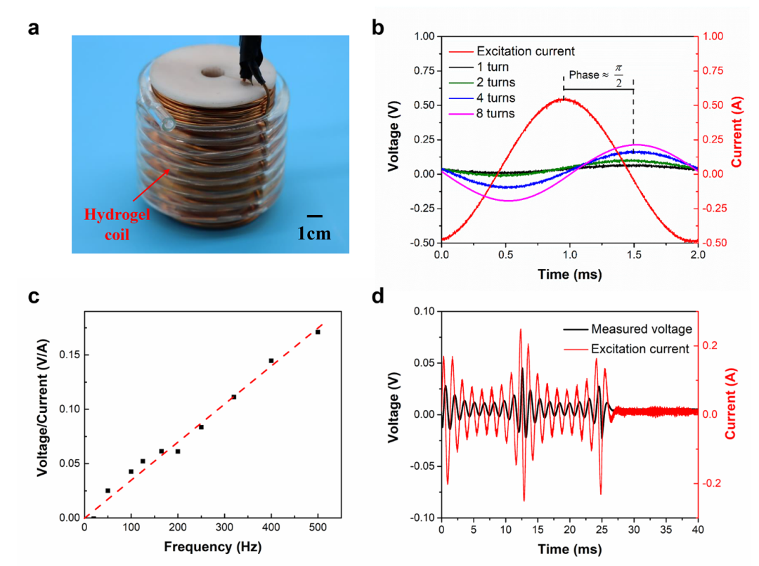 哈佛大学锁志刚教授课题组与西安交大贾坤副教授课题组合作：离磁感应助力电子与离子间信号传递的图3