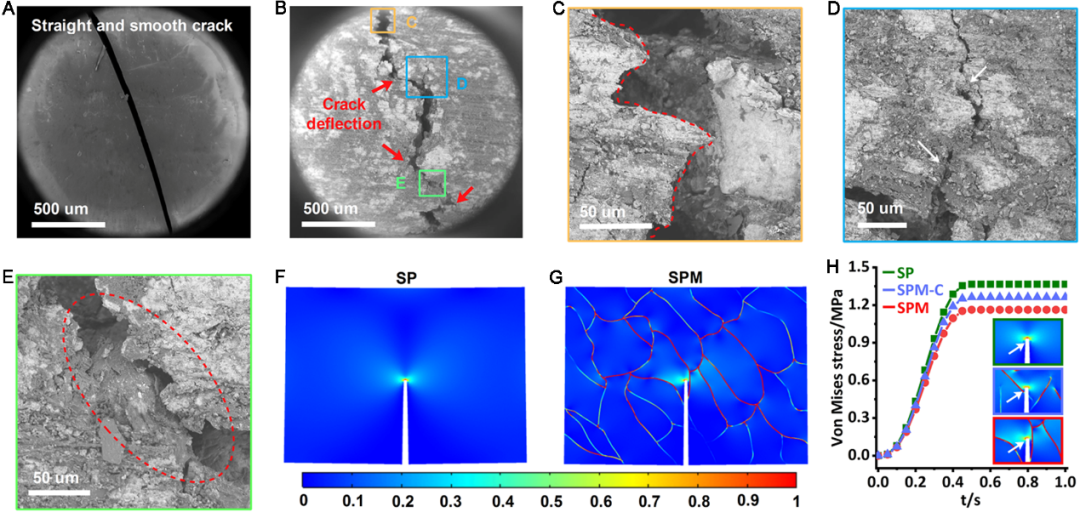南理工傅佳骏教授、川大傅强教授/吴凯副研究员《Matter》：模仿蜻蜓翅膀的微结构，打造强而韧的可修复材料的图4