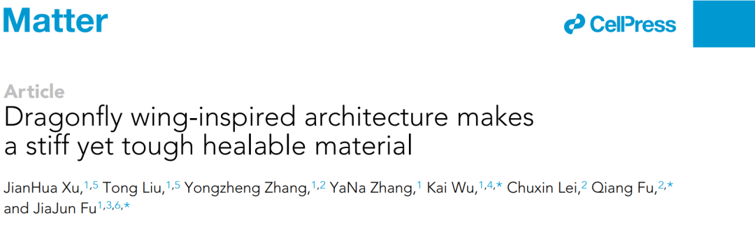 南理工傅佳骏教授、川大傅强教授/吴凯副研究员《Matter》：模仿蜻蜓翅膀的微结构，打造强而韧的可修复材料的图1