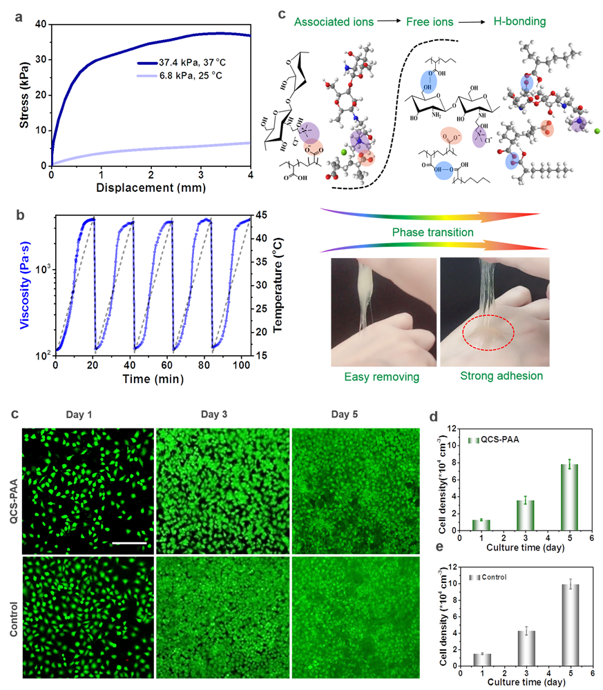 东华大学武培怡教授团队《Small》:“智能粘附”的多功能水凝胶离子皮肤生物传感器的图4
