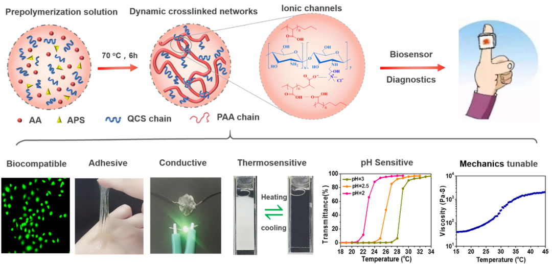 东华大学武培怡教授团队《Small》:“智能粘附”的多功能水凝胶离子皮肤生物传感器的图1