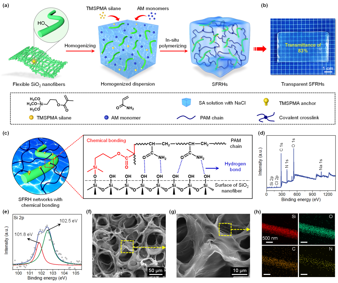 东华大学俞建勇院士、丁彬研究员团队《Adv. Funct. Mater.》：在陶瓷纳米纤维增强离子导电水凝胶方面取得新进展的图1