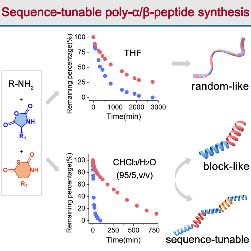 华东理工大学刘润辉教授课题组在多肽合成领域取得突破性成果的图1