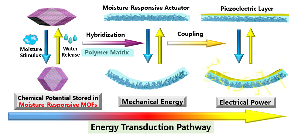 南開大學張振杰課題組JACS：高分子共混制備水汽驅動器用于水收集和空氣發電的圖2
