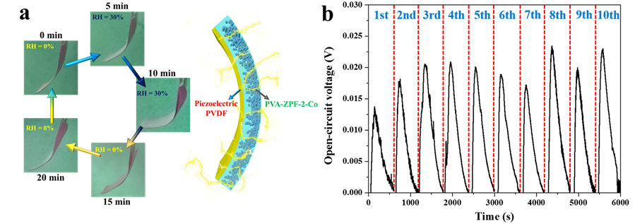 南開大學張振杰課題組JACS：高分子共混制備水汽驅動器用于水收集和空氣發電的圖3