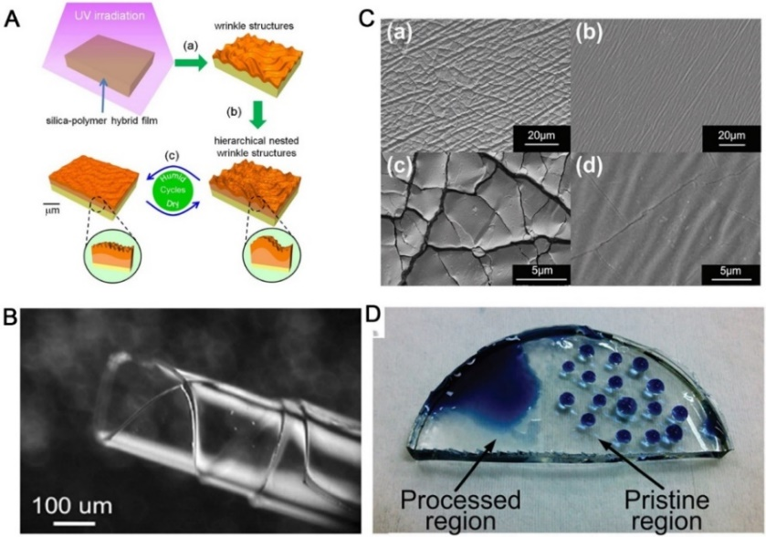 江南大学李文兵与哈工大冷劲松院士/刘彦菊教授团队《Small》综述：形状记忆微/纳米图案的发展和应用的图5