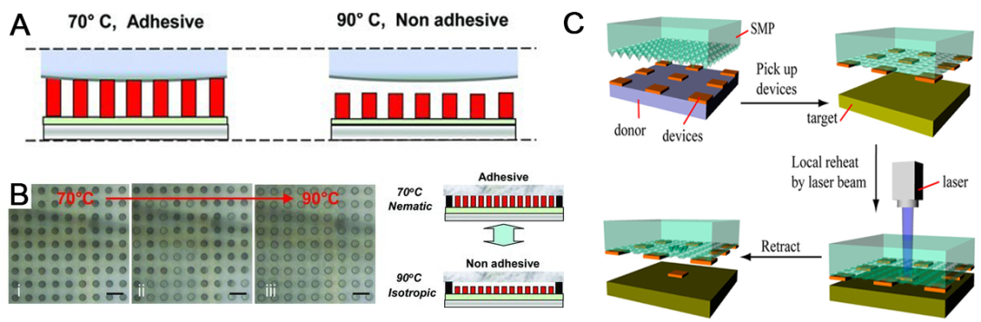 江南大学李文兵与哈工大冷劲松院士/刘彦菊教授团队《Small》综述：形状记忆微/纳米图案的发展和应用的图8