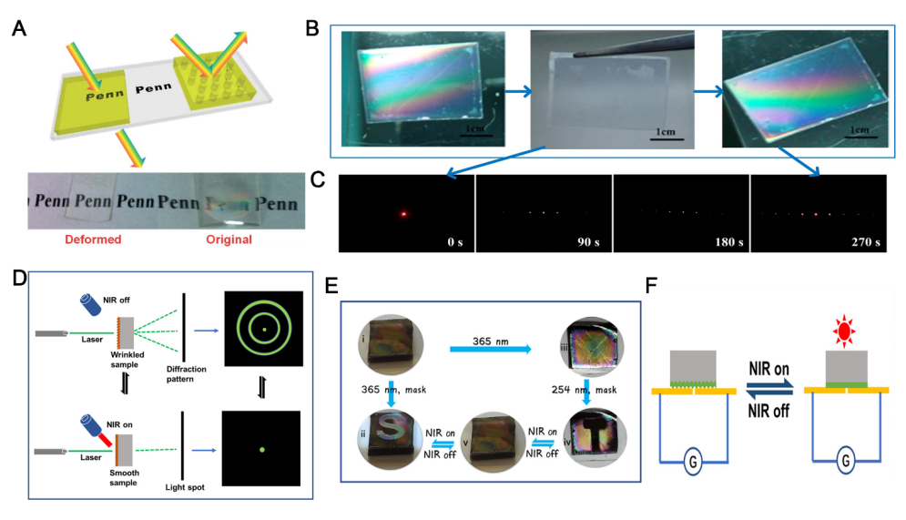 江南大学李文兵与哈工大冷劲松院士/刘彦菊教授团队《Small》综述：形状记忆微/纳米图案的发展和应用的图10
