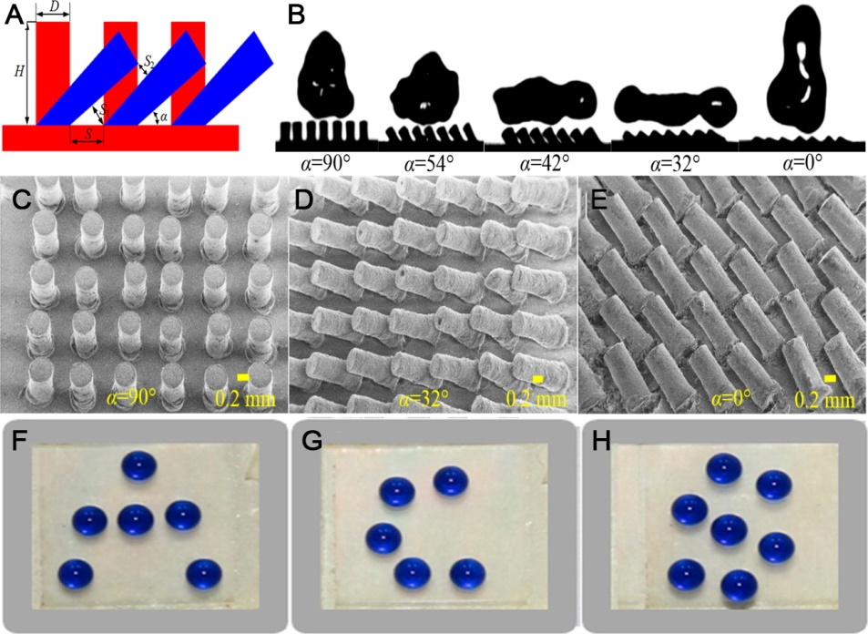 江南大学李文兵与哈工大冷劲松院士/刘彦菊教授团队《Small》综述：形状记忆微/纳米图案的发展和应用的图9