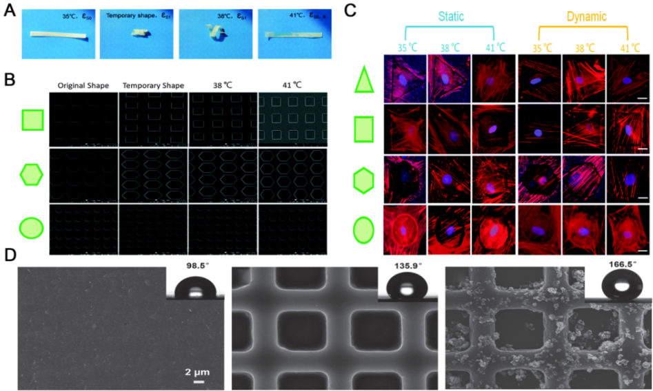 江南大学李文兵与哈工大冷劲松院士/刘彦菊教授团队《Small》综述：形状记忆微/纳米图案的发展和应用的图4
