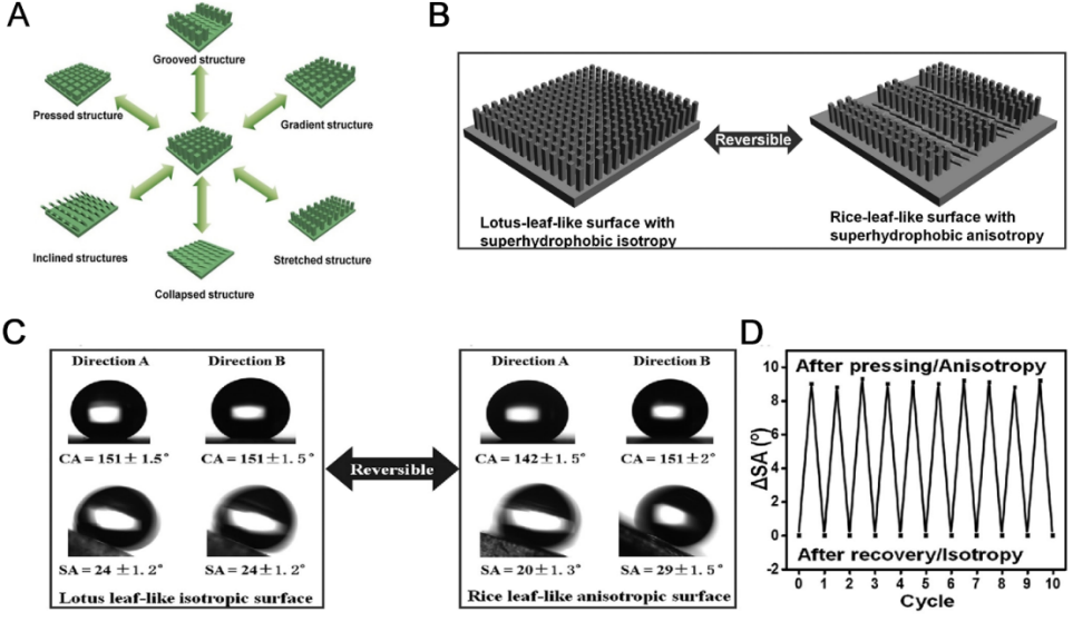 江南大学李文兵与哈工大冷劲松院士/刘彦菊教授团队《Small》综述：形状记忆微/纳米图案的发展和应用的图3