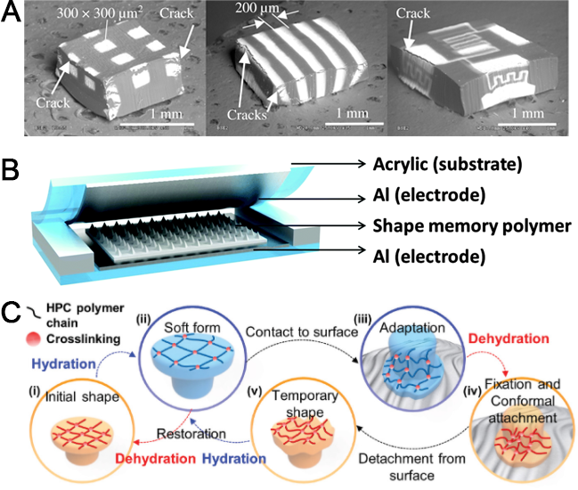 江南大学李文兵与哈工大冷劲松院士/刘彦菊教授团队《Small》综述：形状记忆微/纳米图案的发展和应用的图12
