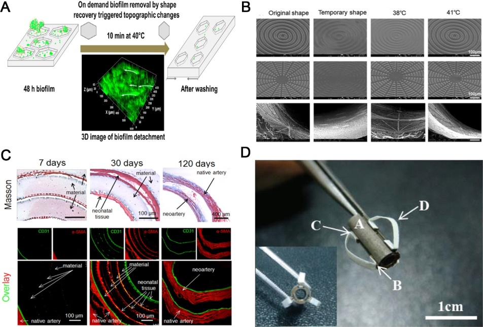 江南大学李文兵与哈工大冷劲松院士/刘彦菊教授团队《Small》综述：形状记忆微/纳米图案的发展和应用的图11