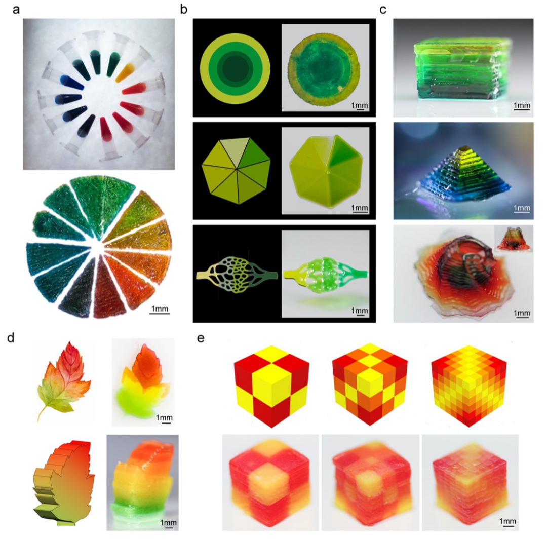 哈佛大學醫學院Y. Shrike Zhang教授課題組《Adv. Mater.》：數字光處理三維生物打印可調控梯度結構的圖2
