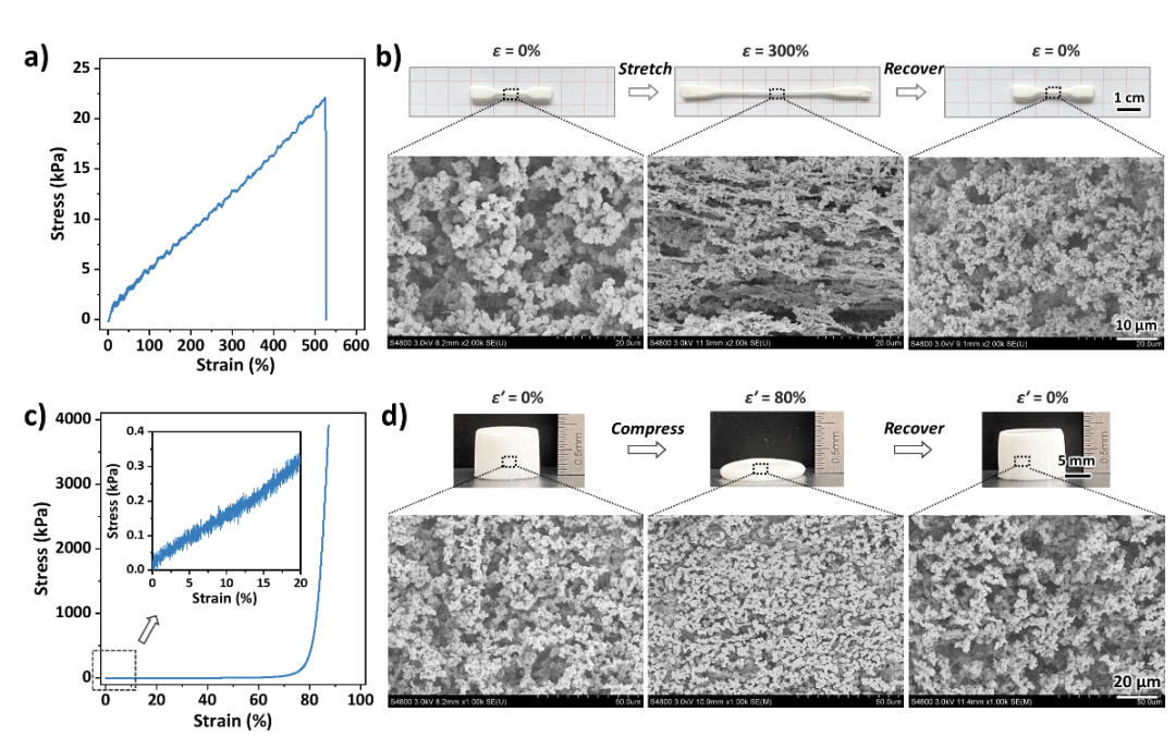 浙江大學鄭強、吳子良團隊Macromolecules: 通過聚合誘導微相分離制備膠體網絡水凝膠的圖3