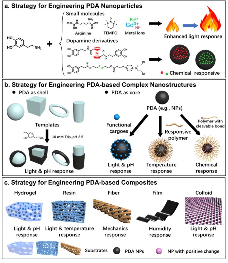 川大李乙文/苏大王召、张正彪/华东师大程义云《Chem. Soc. Rev.》邀请综述：刺激响应性聚多巴胺智能材料的进展与展望的图3