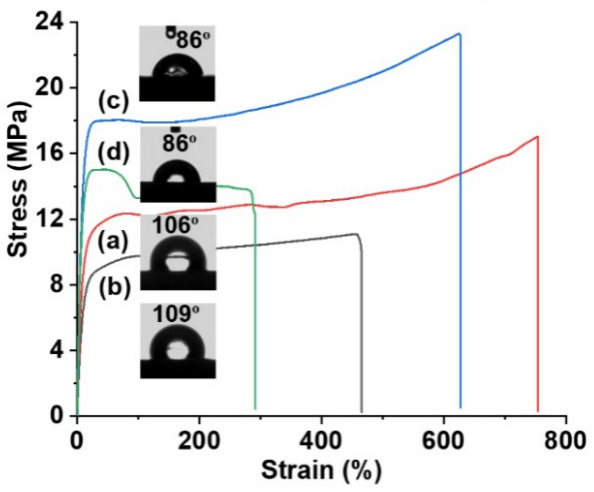 东华大学蔡正国教授与中国科大陈昶乐教授《Angew》： 氢键策略制备异相催化剂用于乙烯与极性单体共聚的图5