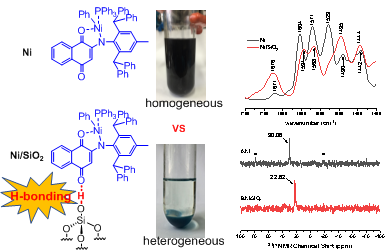 东华大学蔡正国教授与中国科大陈昶乐教授《Angew》： 氢键策略制备异相催化剂用于乙烯与极性单体共聚的图3