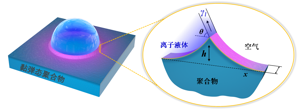 浙理工左彪Nature：聚合物表面分子動(dòng)力學(xué)的表征和新機(jī)制的圖2