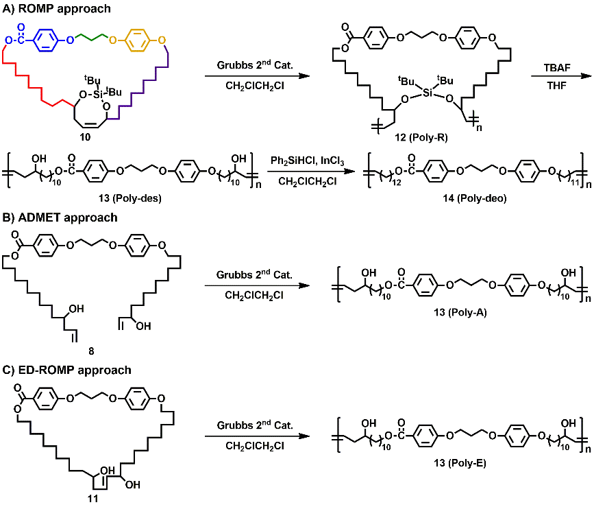 东南大学Angew：基于含牺牲键二环桥环烯的序列可控开环易位聚合方法的图2