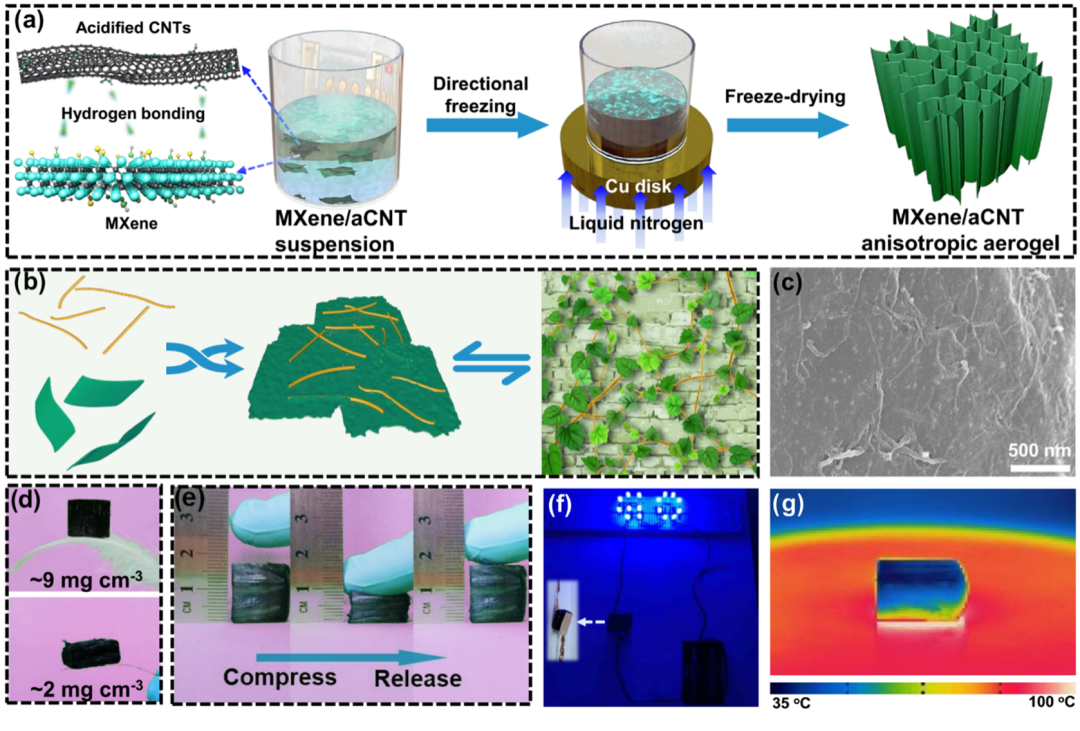 北化大于中振教授和张好斌教授团队ACS AMI： 轻质、超弹性多功能MXene/CNT气凝胶用于高效电磁屏蔽的图1