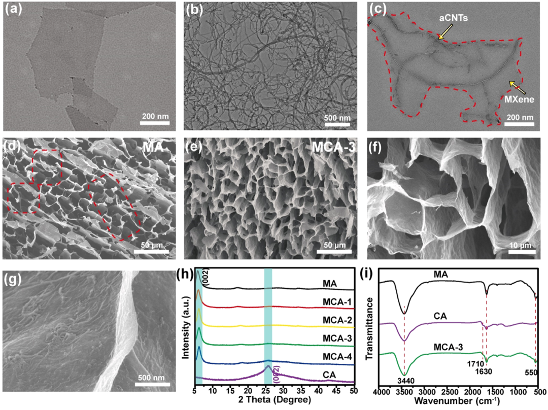 北化大于中振教授和张好斌教授团队ACS AMI： 轻质、超弹性多功能MXene/CNT气凝胶用于高效电磁屏蔽的图2
