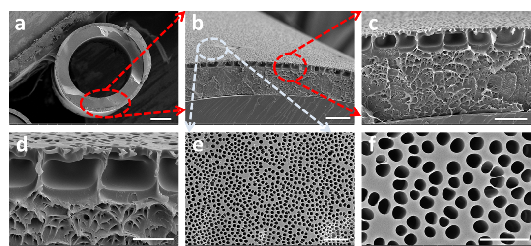 宁波大学孙巍副教授团队《Chem. Commun.》：非对称多层多孔聚合物薄膜的一步法制备及其药物控释应用的图3
