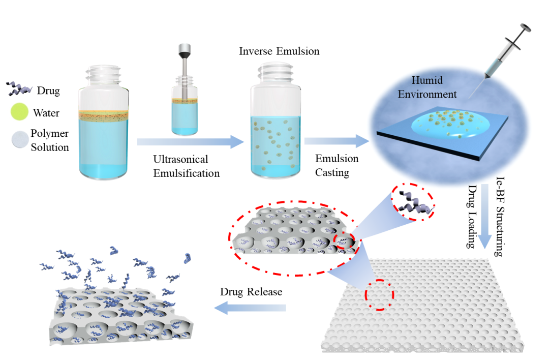 宁波大学孙巍副教授团队《Chem. Commun.》：非对称多层多孔聚合物薄膜的一步法制备及其药物控释应用的图1
