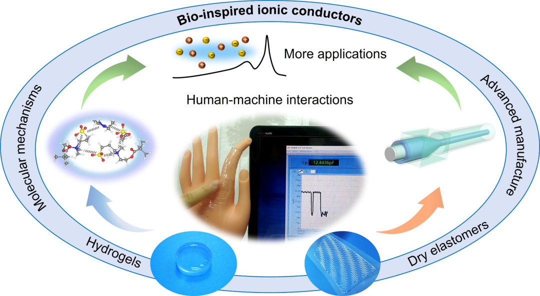 東華大學武培怡教授課題組《Acc. Mater. Res.》：生物啟發的準固態離子導體綜述的圖10