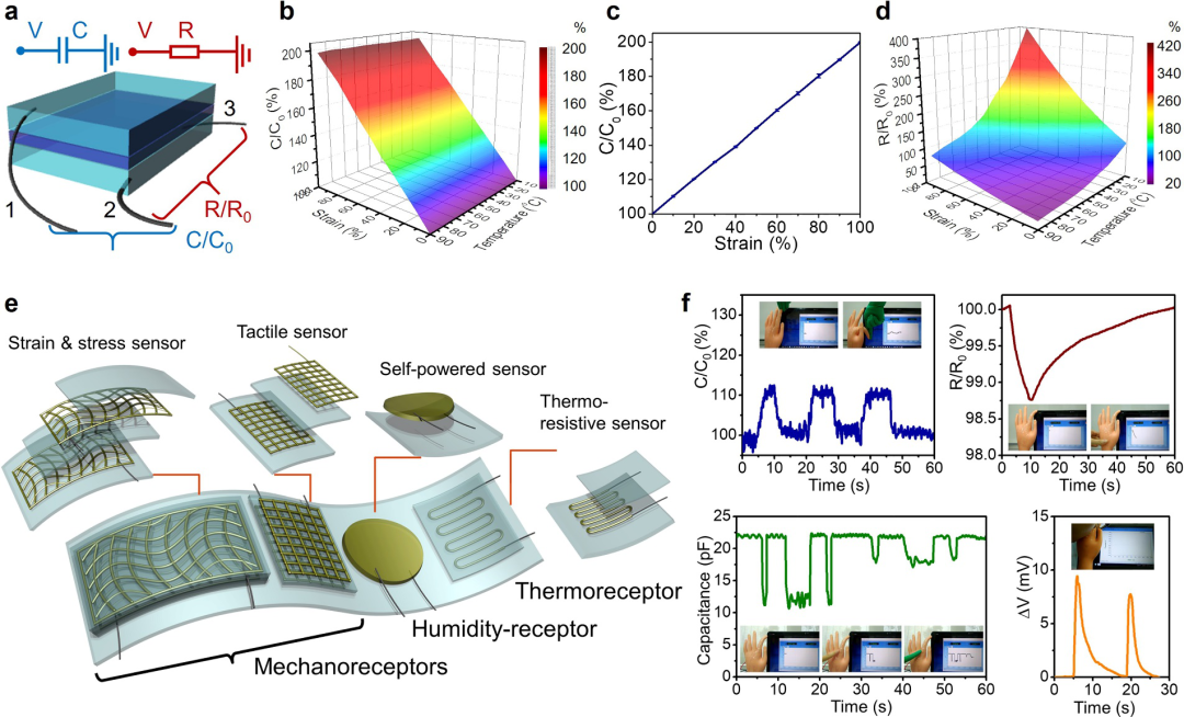 東華大學武培怡教授課題組《Acc. Mater. Res.》：生物啟發的準固態離子導體綜述的圖5