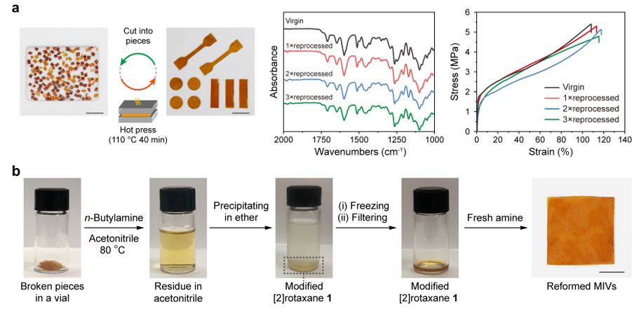 上海交大颜徐州研究员 JACS：机械互锁类玻璃聚合物网络的图3