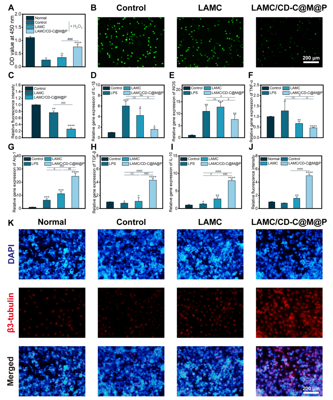 壳聚糖治什么病武汉理工戴红莲教授团队AFM：“诊疗一体化”-一种兼具光热抗菌和类酶催化的壳聚糖基水凝胶用于糖尿病创面pH实时监测与加速伤口愈合_https://www.jmylbn.com_新闻资讯_第5张