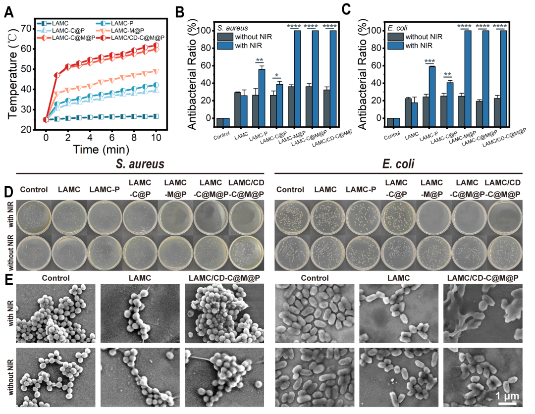壳聚糖治什么病武汉理工戴红莲教授团队AFM：“诊疗一体化”-一种兼具光热抗菌和类酶催化的壳聚糖基水凝胶用于糖尿病创面pH实时监测与加速伤口愈合_https://www.jmylbn.com_新闻资讯_第4张