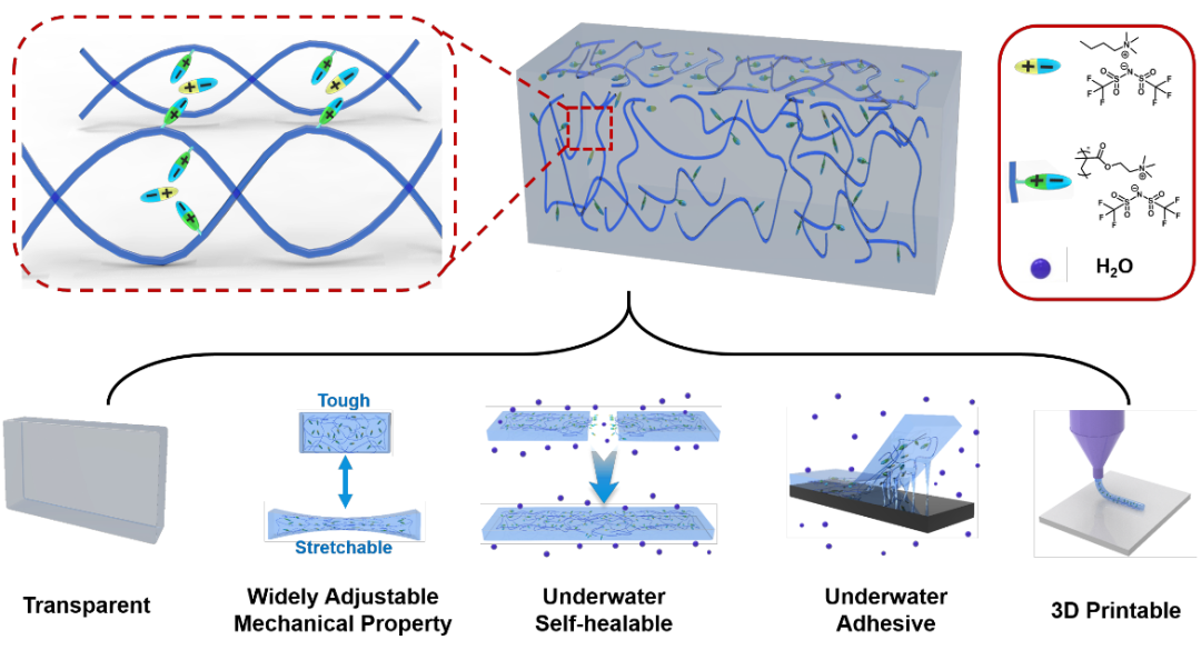 武培怡教授团队《Adv. Mater.》：可水下通信的光学伪装离子凝胶的图2