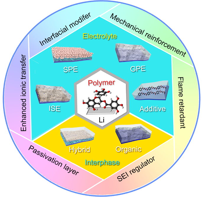 北化大于乐教授课题组与西安交大丁书江教授团队《JMCA》：功能化聚合物在锂金属负极电解质优化和界面改性中的应用的图1