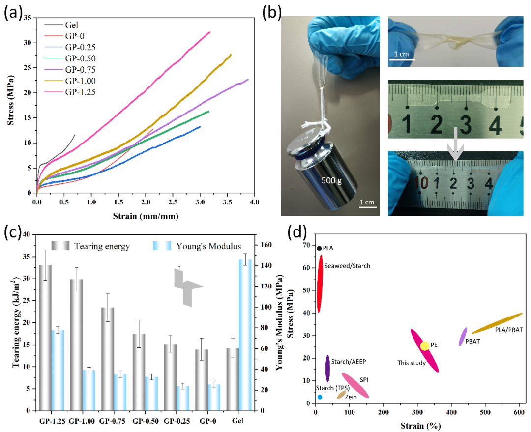 陕科大强涛涛教授课题组/张慧洁副教授与惠州学院陈学军教授合作CEJ：基于明胶多重交联增强的可生物降解地膜的图2
