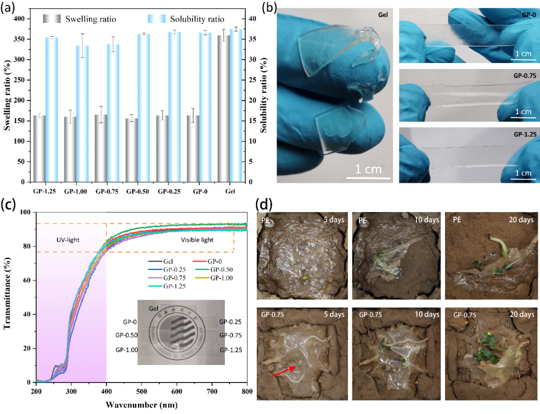 陕科大强涛涛教授课题组/张慧洁副教授与惠州学院陈学军教授合作CEJ：基于明胶多重交联增强的可生物降解地膜的图3