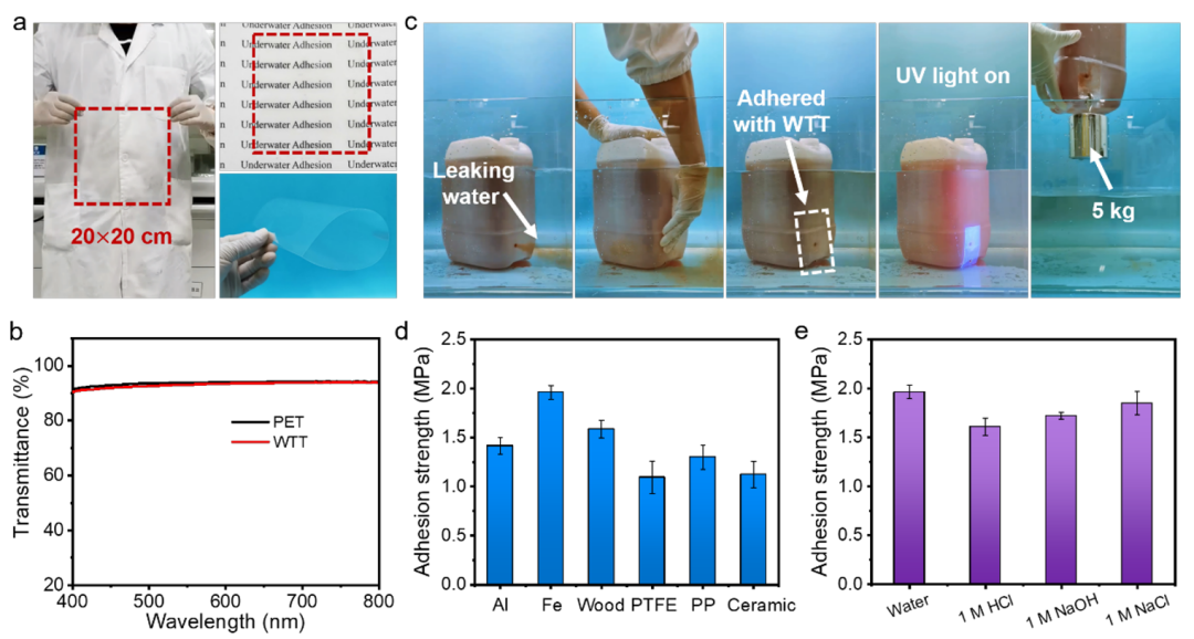 武培怡教授团队《Mater. Horiz.》：力学性能自增强的高透明离子凝胶用于水下超强粘附的图4
