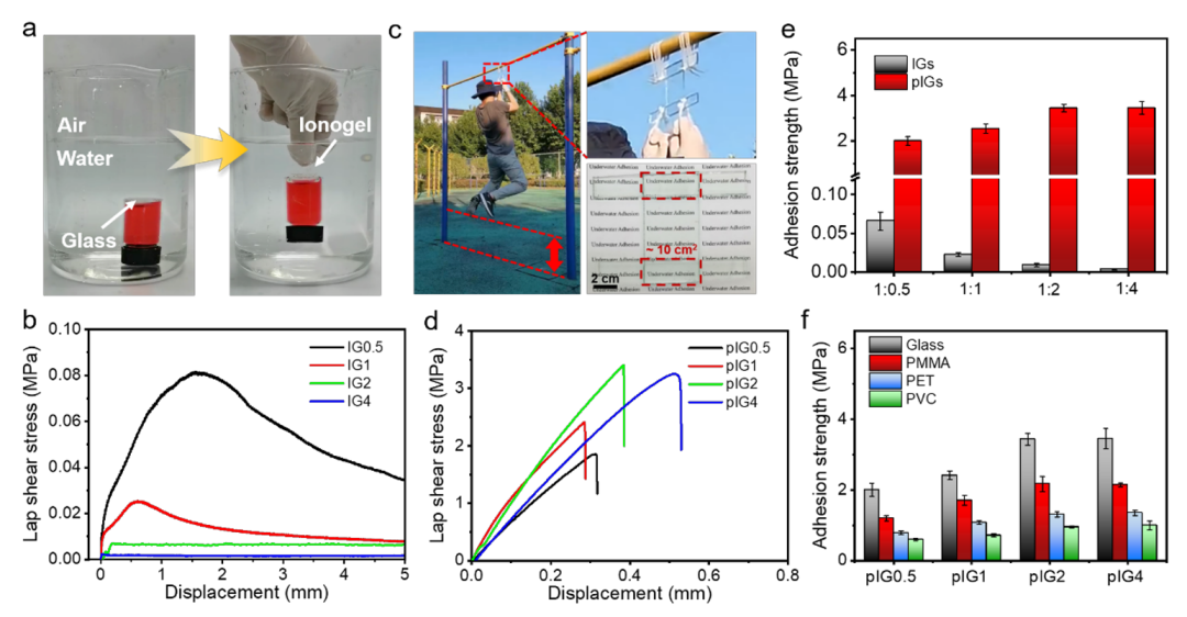 武培怡教授团队《Mater. Horiz.》：力学性能自增强的高透明离子凝胶用于水下超强粘附的图2