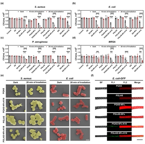 皮下缝合用什么线华南理工王琳研究员、中山六院王辉、王怀明团队 Adv. Mater.：具有抗菌性能和皮下可监测性能的AIE纳米纤维功能化缝合线_https://www.jmylbn.com_新闻资讯_第3张