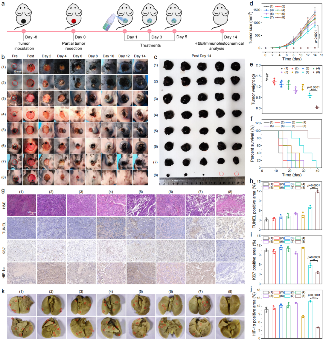 促愈凝胶怎么排出西南交大周绍兵／侯建文团队《Nat. Commun.》：“一箭三雕”- 具有防复发、抑转移、促愈合功能的自产氧纳米复合水凝胶_https://www.jmylbn.com_新闻资讯_第6张
